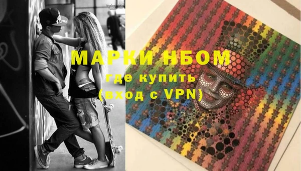 мдпв Бородино