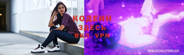 мдпв Бородино