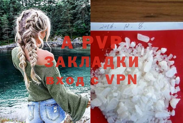 мдпв Бородино