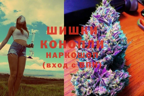 мдпв Бородино