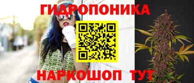 ALPHA PVP Мариинск