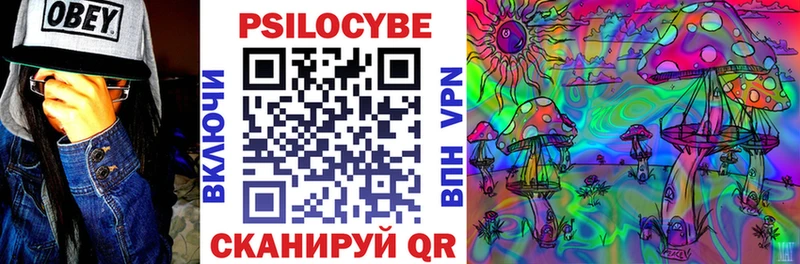 Галлюциногенные грибы мицелий  Оренбург 